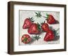 Strawberries 2019 (oil)-Tilly Willis-Framed Giclee Print