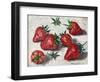 Strawberries 2019 (oil)-Tilly Willis-Framed Giclee Print