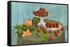 Strawberries and Roses-null-Framed Stretched Canvas