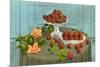 Strawberries and Roses-null-Mounted Premium Giclee Print