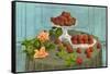 Strawberries and Roses-null-Framed Stretched Canvas