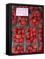 Strawberries at Market, Sarlat, Dordogne, France-Doug Pearson-Framed Stretched Canvas