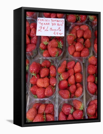 Strawberries at Market, Sarlat, Dordogne, France-Doug Pearson-Framed Stretched Canvas