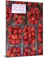 Strawberries at Market, Sarlat, Dordogne, France-Doug Pearson-Mounted Photographic Print
