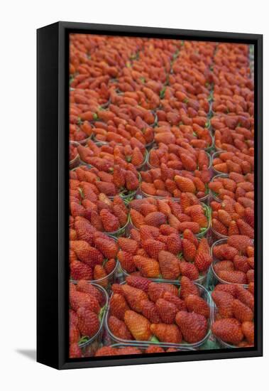 Strawberries at outdoor market, Honfleur, Normandy, France-Lisa S. Engelbrecht-Framed Stretched Canvas