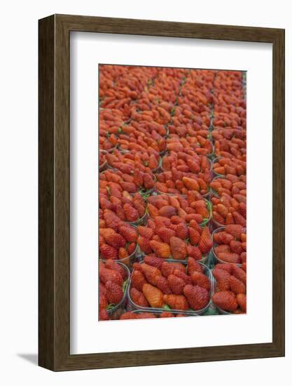 Strawberries at outdoor market, Honfleur, Normandy, France-Lisa S. Engelbrecht-Framed Photographic Print