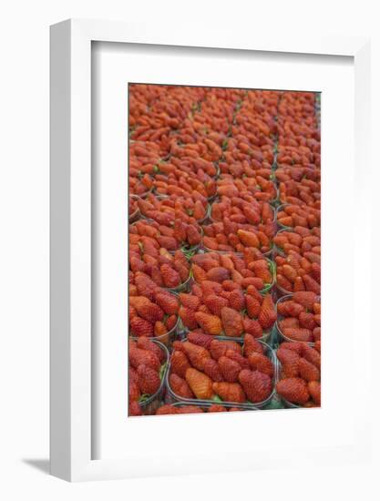 Strawberries at outdoor market, Honfleur, Normandy, France-Lisa S. Engelbrecht-Framed Photographic Print