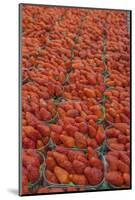 Strawberries at outdoor market, Honfleur, Normandy, France-Lisa S. Engelbrecht-Mounted Photographic Print