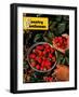 "Strawberries," Country Gentleman Cover, June 1, 1948-J.c. Allen-Framed Giclee Print