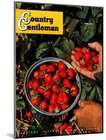 "Strawberries," Country Gentleman Cover, June 1, 1948-J.c. Allen-Mounted Giclee Print