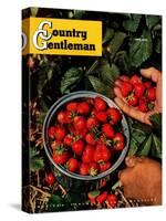 "Strawberries," Country Gentleman Cover, June 1, 1948-J.c. Allen-Stretched Canvas