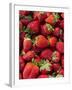 Strawberries for Sale at Sunday Morning Market, Pollenca, Tramuntana, Mallorca, Spain-Andrew Stewart-Framed Photographic Print