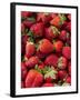 Strawberries for Sale at Sunday Morning Market, Pollenca, Tramuntana, Mallorca, Spain-Andrew Stewart-Framed Photographic Print