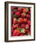 Strawberries for Sale at Sunday Morning Market, Pollenca, Tramuntana, Mallorca, Spain-Andrew Stewart-Framed Photographic Print