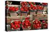 Strawberries for Sale at Weekly Market, Arles, Bouches-Du-Rhone, Provence-Alpes-Cote D'Azur, France-null-Stretched Canvas