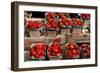 Strawberries for Sale at Weekly Market, Arles, Bouches-Du-Rhone, Provence-Alpes-Cote D'Azur, France-null-Framed Photographic Print