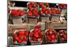 Strawberries for Sale at Weekly Market, Arles, Bouches-Du-Rhone, Provence-Alpes-Cote D'Azur, France-null-Mounted Photographic Print