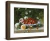 Strawberries in a Blue and White Buckelteller with Roses and Sweet Briar on a Ledge-William Hammer-Framed Giclee Print