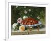 Strawberries in a Blue and White Buckelteller with Roses and Sweet Briar on a Ledge-William Hammer-Framed Giclee Print