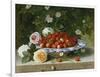 Strawberries in a Blue and White Buckelteller with Roses and Sweet Briar on a Ledge-William Hammer-Framed Giclee Print