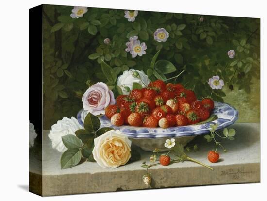 Strawberries in a Blue and White Buckelteller with Roses and Sweet Briar on a Ledge-William Hammer-Stretched Canvas