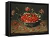 Strawberries in a Bowl, about 1630-Jacob Van Hulsdonck-Framed Stretched Canvas