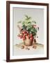 Strawberries in a Pot, 1998-Amelia Kleiser-Framed Giclee Print