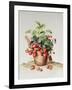 Strawberries in a Pot, 1998-Amelia Kleiser-Framed Giclee Print