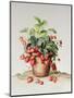 Strawberries in a Pot, 1998-Amelia Kleiser-Mounted Giclee Print