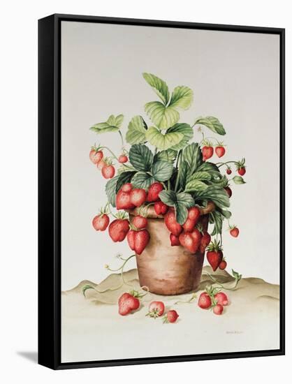 Strawberries in a Pot, 1998-Amelia Kleiser-Framed Stretched Canvas