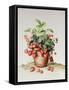 Strawberries in a Pot, 1998-Amelia Kleiser-Framed Stretched Canvas