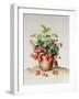 Strawberries in a Pot, 1998-Amelia Kleiser-Framed Giclee Print