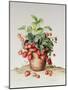 Strawberries in a Pot, 1998-Amelia Kleiser-Mounted Giclee Print