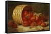 Strawberries in a Wicker Basket on a Ledge, 1895-Eloise Harriet Stannard-Framed Stretched Canvas