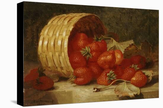 Strawberries in a Wicker Basket on a Ledge, 1895-Eloise Harriet Stannard-Stretched Canvas