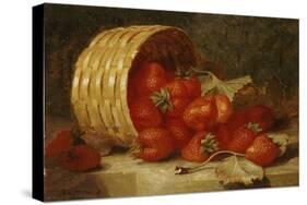 Strawberries in a Wicker Basket on a Ledge, 1895-Eloise Harriet Stannard-Stretched Canvas