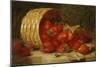 Strawberries in a Wicker Basket on a Ledge, 1895-Eloise Harriet Stannard-Mounted Giclee Print