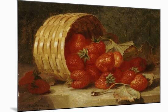Strawberries in a Wicker Basket on a Ledge, 1895-Eloise Harriet Stannard-Mounted Giclee Print