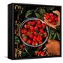 "Strawberries,"June 1, 1948-J.c. Allen-Framed Stretched Canvas