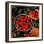 "Strawberries,"June 1, 1948-J.c. Allen-Framed Giclee Print