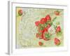 Strawberries on Lace, 1999-E.B. Watts-Framed Giclee Print