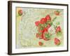 Strawberries on Lace, 1999-E.B. Watts-Framed Giclee Print