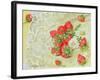 Strawberries on Lace, 1999-E.B. Watts-Framed Giclee Print