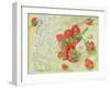 Strawberries on Lace, 1999-E.B. Watts-Framed Giclee Print