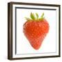 Strawberries Single in Studio-null-Framed Photographic Print