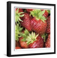 Strawberries-Stacy Bass-Framed Giclee Print