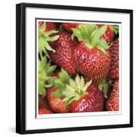 Strawberries-Stacy Bass-Framed Giclee Print