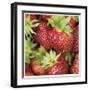 Strawberries-Stacy Bass-Framed Giclee Print