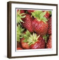 Strawberries-Stacy Bass-Framed Giclee Print