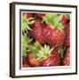 Strawberries-Stacy Bass-Framed Giclee Print